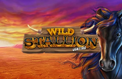 Wild Stallion