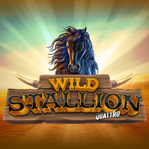 Wild Stallion