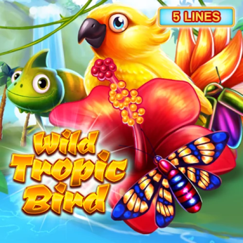 Wild Tropic Bird