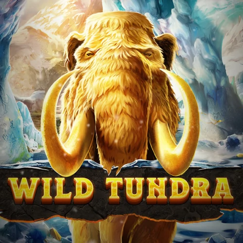 Wild Tundra