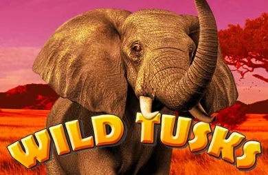 Wild Tusks