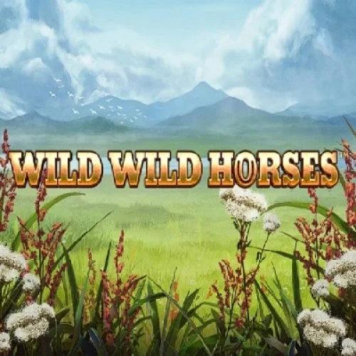 Wild Wild Horses