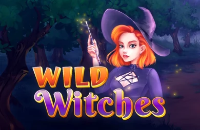 Wild Witches (Amatic Industries)