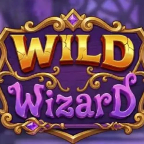 Wild Wizard