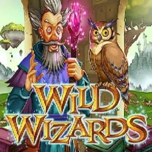Wild Wizards (RTG)