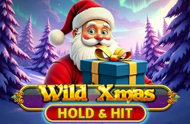 Wild Xmas Hold & Hit