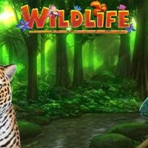 Wildlife