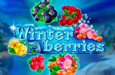 Winter Berries