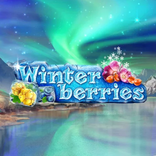 Winter Berries