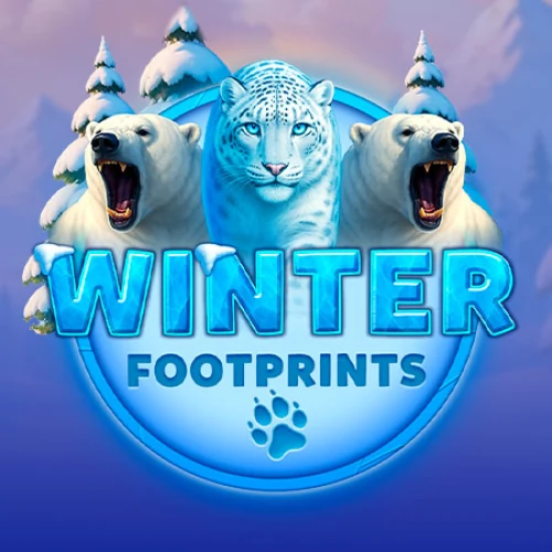 Winter Footprints