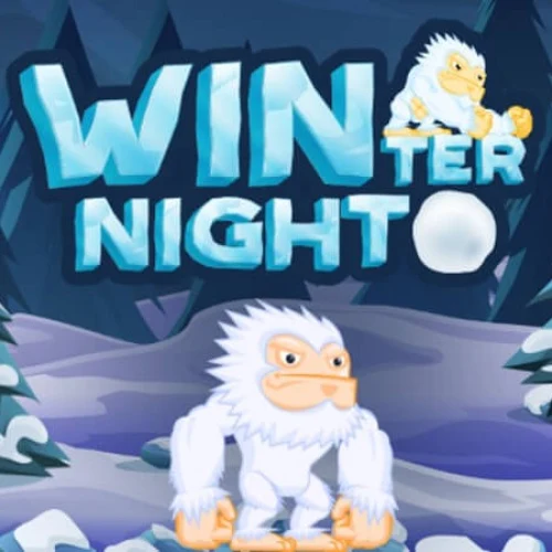 Winter Night