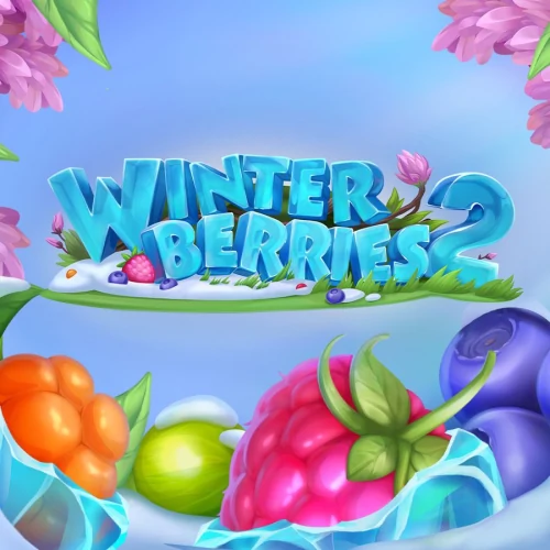 Winterberries 2