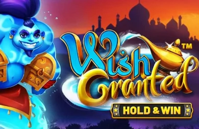 Wish Granted