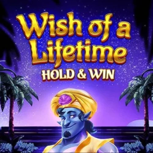 Wish of a Lifetime