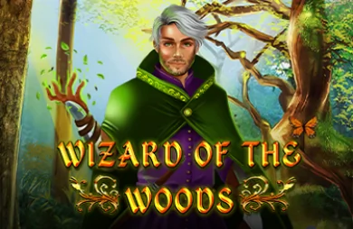 Wizard of the Woods