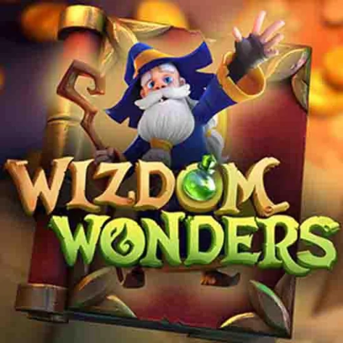 Wizdom Wonders