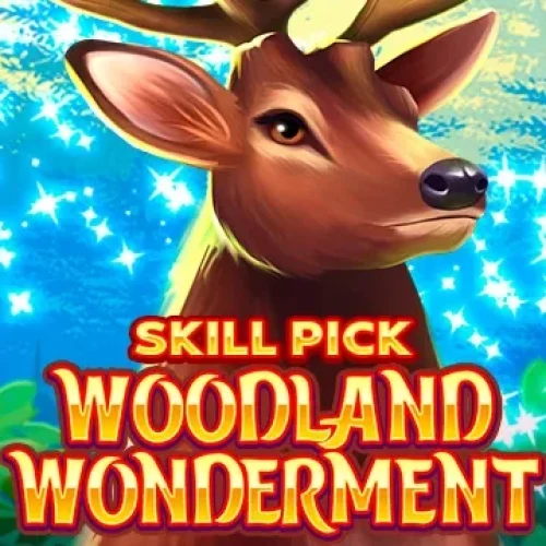 Woodland Wonderment