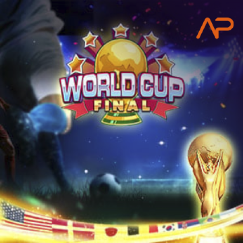 World Cup Final