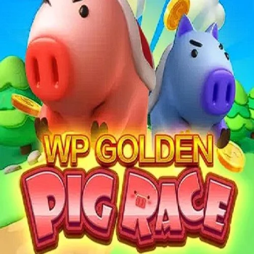WP Golden Pig Race